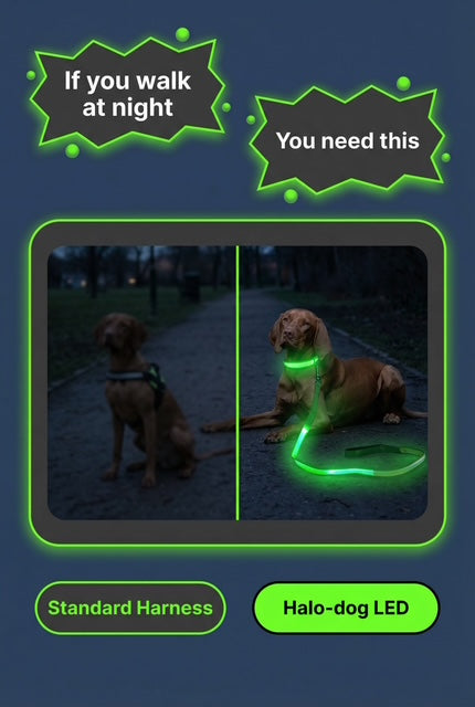 Halo-dog led rechargeable leash & Harness combined.