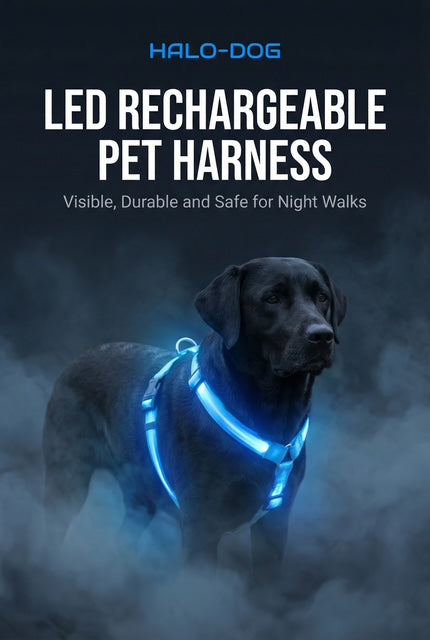 Halo-dog led rechargeable leash & Harness combined.