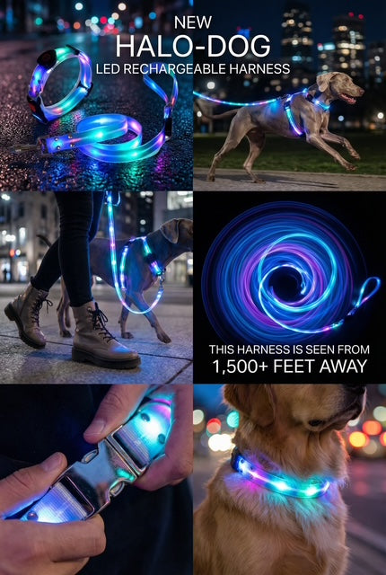 Halo-dog LED rechargeable leash & collar combined