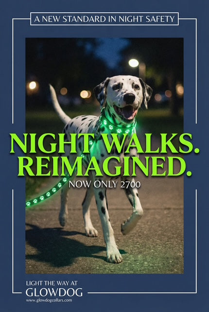 Halo-dog led rechargeable leash & Harness combined.