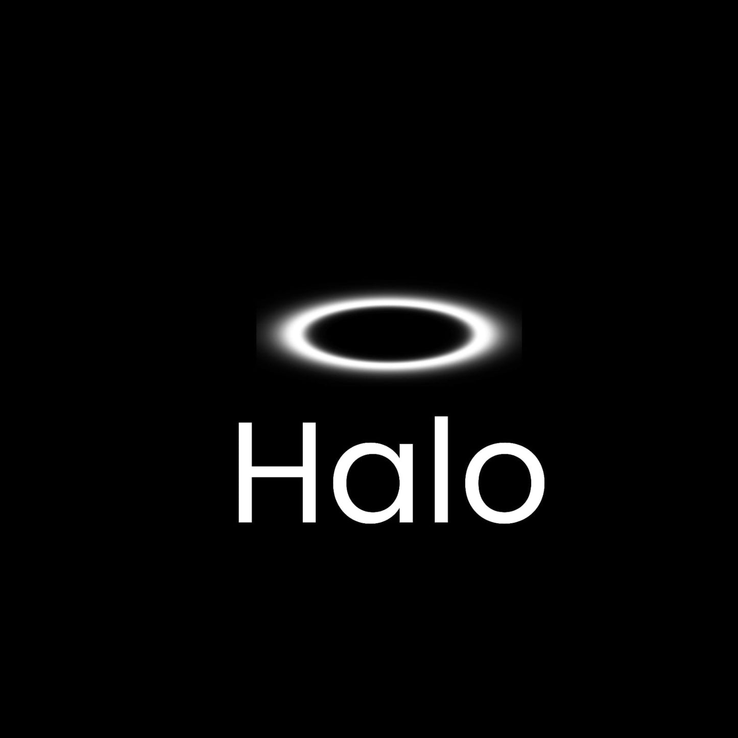 Halo-Const LED rechargeable heated Safety Vest
