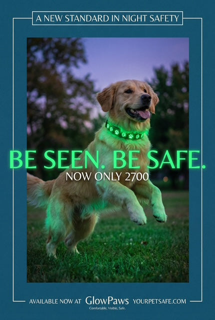 Halo-dog led rechargeable leash & Harness combined.