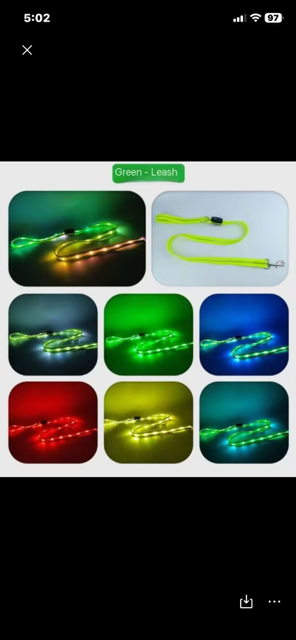 Halo-dog LED rechargeable leash & collar combined