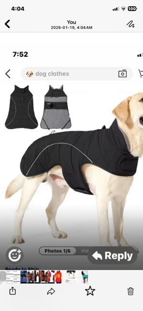 Halo-Dog led Reflective Jacket