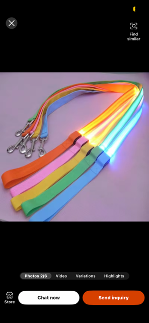 Halo-dog LED rechargeable leash & collar combined