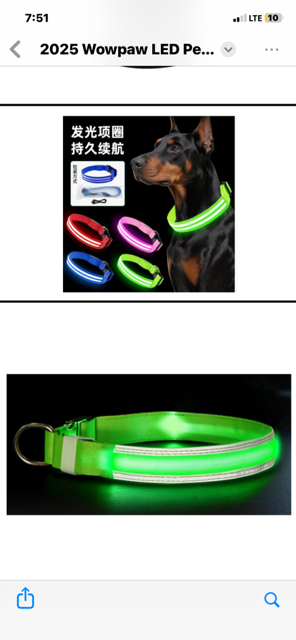 Halo-dog LED rechargeable leash & collar combined
