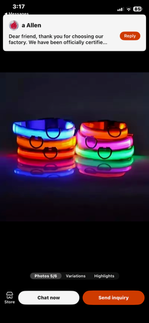 Halo-dog LED rechargeable leash & collar combined