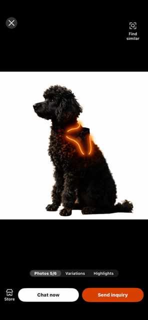 Halo-dog led rechargeable leash & Harness combined.