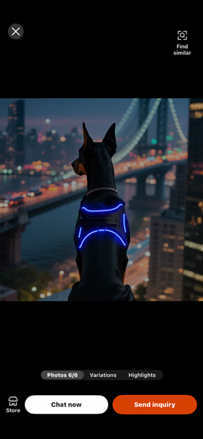 Halo-dog led rechargeable leash & Harness combined.