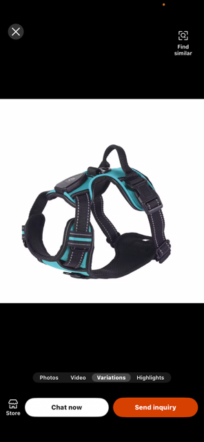 Halo-dog led rechargeable leash & Harness combined.