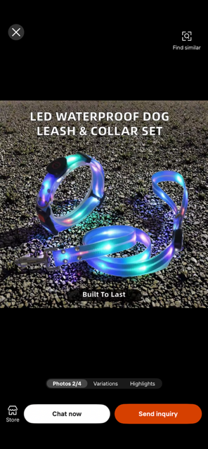 Halo-Dog LED Collar and Leash