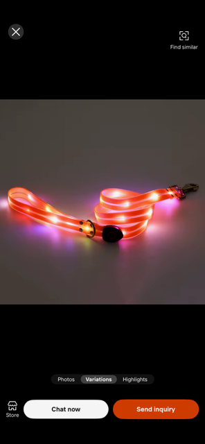 Halo-dog LED rechargeable leash & collar combined