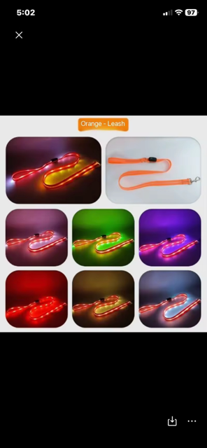 Halo-dog LED dog rechargeable leash & collar combined