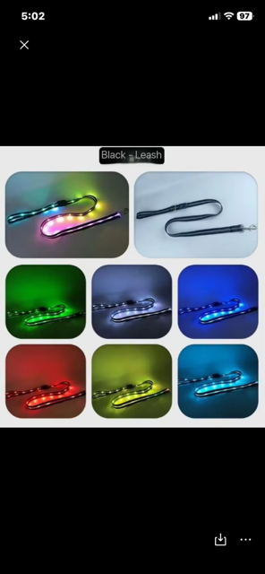 Halo-dog LED dog rechargeable leash & collar combined