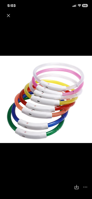 Halo-cat LED rechargeable collars