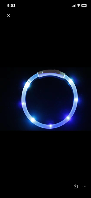 Halo-cat LED rechargeable collars