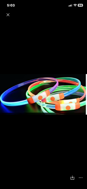 Halo-dog LED dog rechargeable leash & collar combined