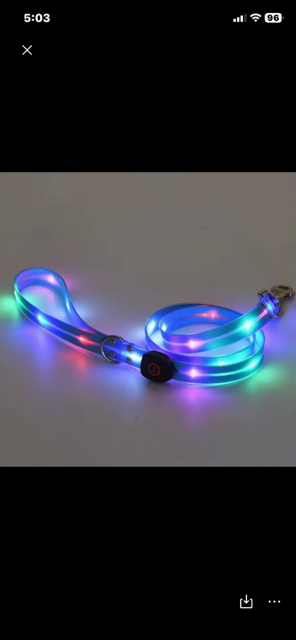 Halo-dog LED rechargeable leash & collar combined