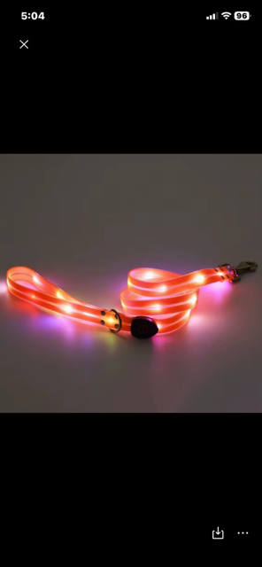 Halo-dog LED rechargeable leash & collar combined