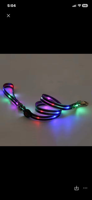 Halo-dog LED rechargeable leash & collar combined