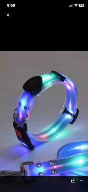 Halo-dog LED dog rechargeable leash & collar combined