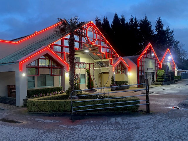 Visible at night LED Exterior house lights