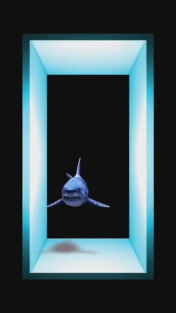 3-D hologram video 3